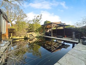 Pond- click for photo gallery